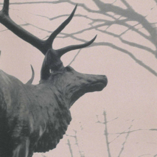 Agalloch Concerts in San Jose