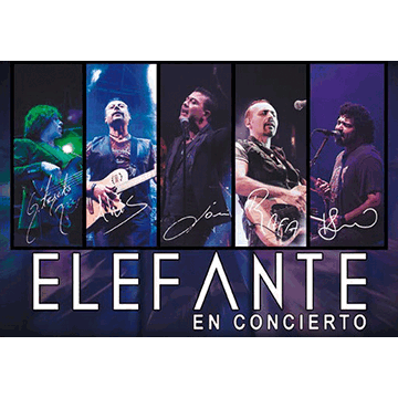Elefante Concerts in San Jose